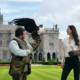 Adare_Manor_Afternoon_Falconry_04_Jack_Hardy_2022-1