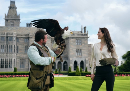 Adare_Manor_Afternoon_Falconry_04_Jack_Hardy_2022-10