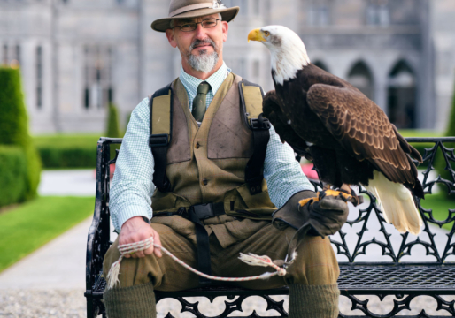 Adare_Manor_Afternoon_Falconry_12_Jack_Hardy_2022-scaled