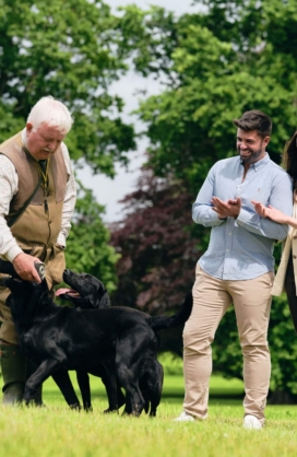 Irish Gundog Experience