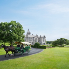 Adare_Manor_HorseandCarriage_01_Jack_Hardy_2022