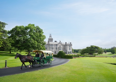 Horse Drawn Carriage