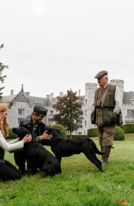 Irish Gundog Experience