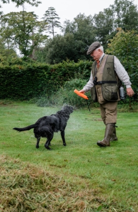 Irish Gundog Experience