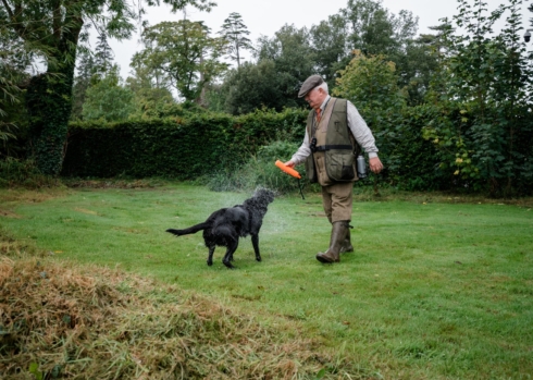 Irish Gundog Experience