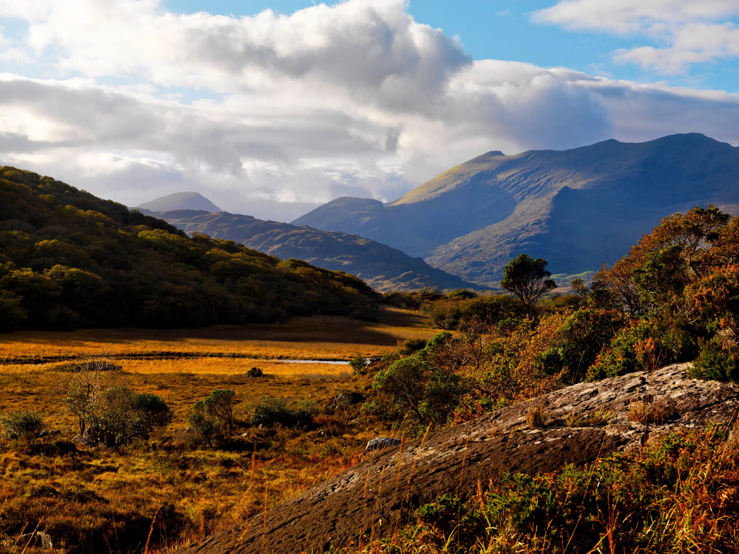 A Day Trip to…Killarney’s lively town and spectacular national parks