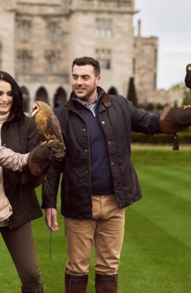 Falconry