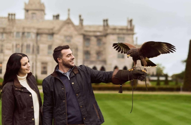 falconry-couple-1