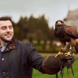 falconry-man-and-bird-4