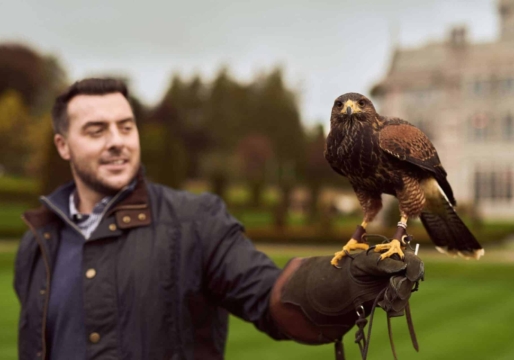 falconry-man-and-bird-4