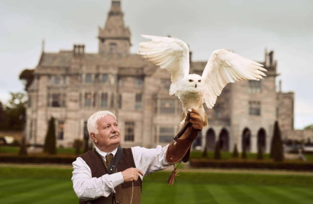 falconry-owl-and-man-1