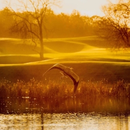 golf-at-adare-manor-10-full