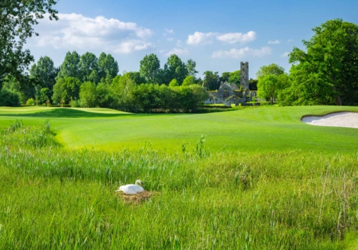 golf-at-adare-manor-31