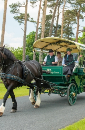 Horse Drawn Carriage