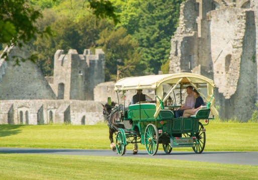 horse-drawn-carriage-4