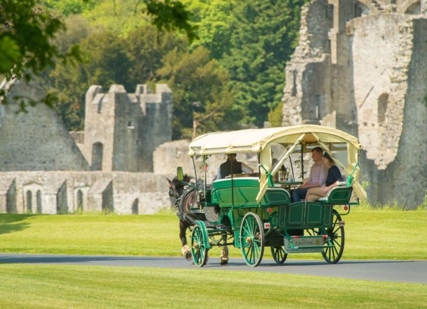 horse-drawn-carriage-4