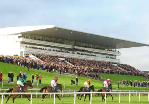 limerick-racecourse-1