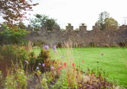 views-at-adare-manor-1jpg