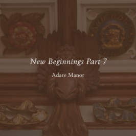 New Beginnings Part -7