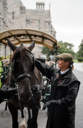 Horse Drawn Carriage