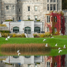 A grand, historic manor house with intricate architecture, surrounded by manicured gardens and trees under a clear blue sky, providing a serene and majestic atmosphere.