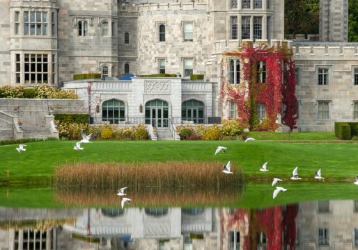 A grand, historic manor house with intricate architecture, surrounded by manicured gardens and trees under a clear blue sky, providing a serene and majestic atmosphere.